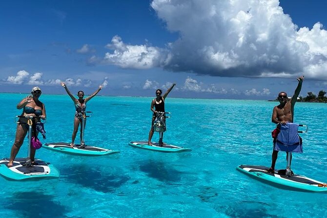 Private Electric Paddle Cruise in Bora Bora - Watching fish, rays, and possible sharks