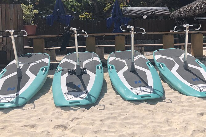 Private Electric Paddle Cruise in Bora Bora - How the $55 price measures up