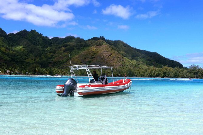 Private excursion Half day Moorea Discovery of the lagoon - Key points at a glance