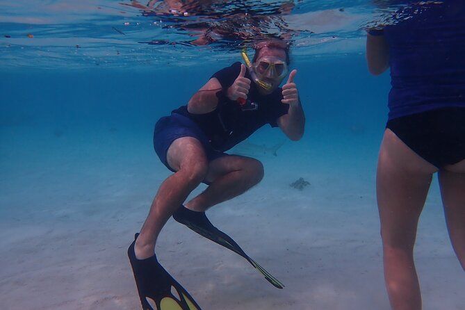 Private excursion Half day Moorea Discovery of the lagoon - Snacks, drinks, and the practical side of snorkeling