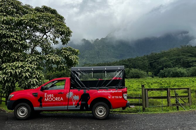Private excursion to Moorea, photo tour & immersive discovery - Opunohu Bay and the story of the caldera