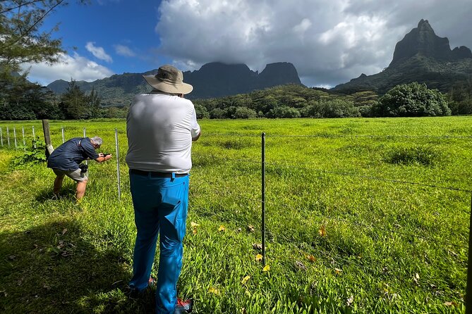 Private excursion to Moorea, photo tour & immersive discovery - Ta’ahiamanu Beach and the blue lagoon