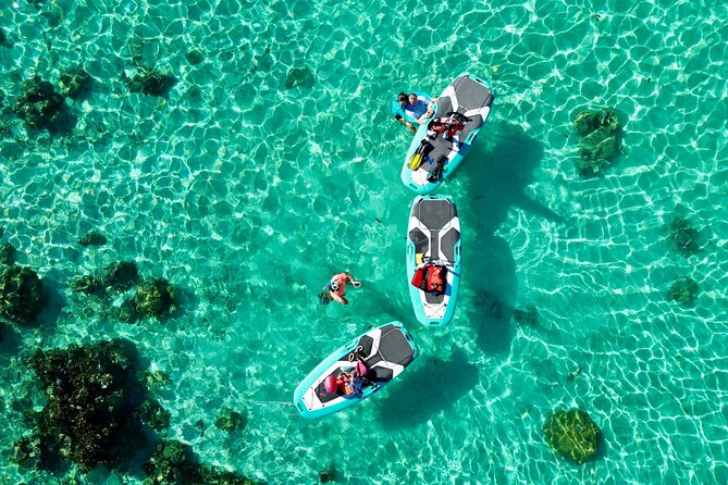 Private Excursion with E-Board in Moorea with snorkeling - Following the lagoon route from Maharepa