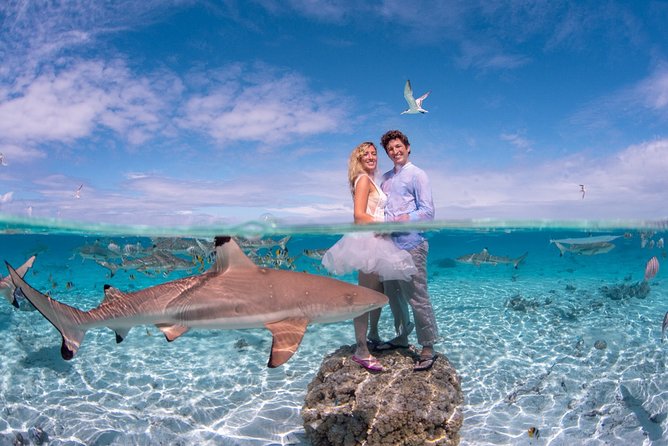 Private Full Day Aquatic Photo Tour + Resort Photo-Shoot (All inclusive) - Key details before you book