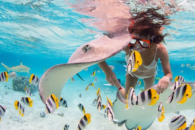 Private Full Day Aquatic Photo Tour + Resort Photo-Shoot (All inclusive) - Why this Bora Bora photo day feels different