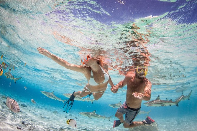 Private Full Day Aquatic Photo Tour + Resort Photo-Shoot (All inclusive) - Semi-submerged and underwater photographs