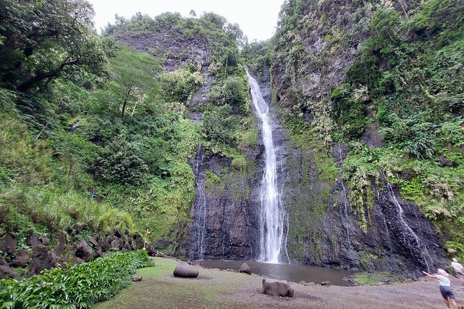 Private Full Day in Papeete and Tahiti Iti with Belveder Lookout - Pearls and the Presidential Palace