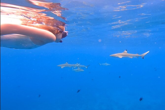 Private Full Day Lagoon Safari and Lunch on a Motu in Bora Bora - What the private format really offers