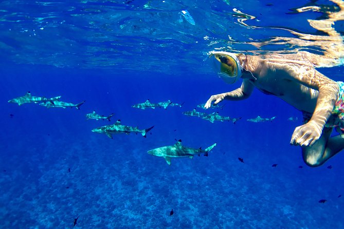 PRIVATE FULL DAY LAGOON TOUR - Bora Bora Cultural Lagoon Tour - Key points at a glance