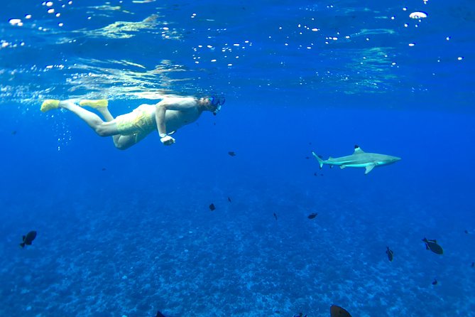 PRIVATE FULL DAY LAGOON TOUR - Bora Bora Cultural Lagoon Tour - Starting at 9:00 am on a traditional Polynesian canoe