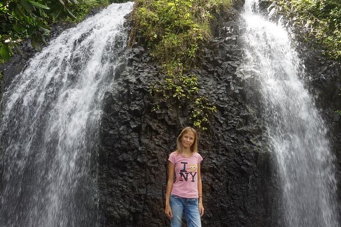 Private Full-Day Tahiti — Grotto, Gardens & Panoramas - Key reasons this Tahiti tour earns attention