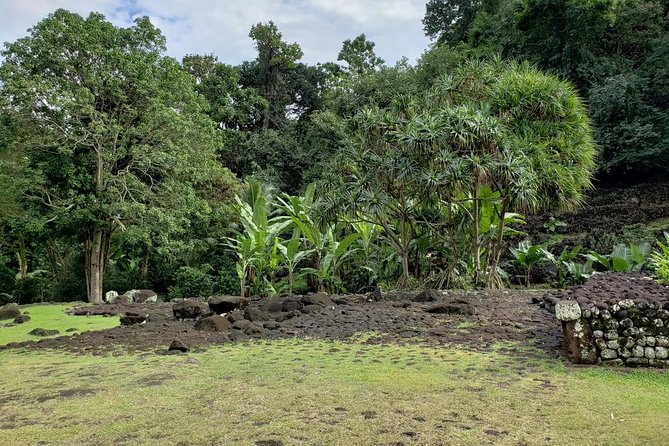 Private Full-Day Tahiti — Grotto, Gardens & Panoramas - Why a private eight-hour outing makes sense