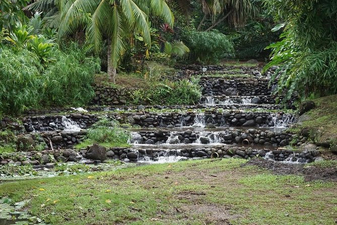 Private Full-Day Tahiti — Grotto, Gardens & Panoramas - Vaipahi Water Gardens: the easiest nature walk
