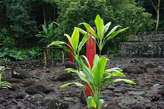 Private Full-Day Tahiti — Grotto, Gardens & Panoramas - Papeari lunch: a local meal with a clear price catch