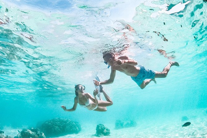 PRIVATE Full Day Tour : Moorea Snorkeling & Sailing on a Catamaran named Taboo - Snorkeling among coral, rays, and underwater tikis
