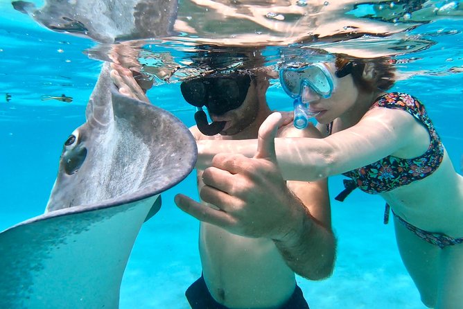 PRIVATE Full Day Tour : Moorea Snorkeling & Sailing on a Catamaran named Taboo - The real value of $1,565.99 for four people