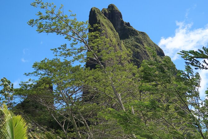 Private Half-Day Hike in the Opunohu Valley in Moorea - Fabien’s guiding style and personal attention
