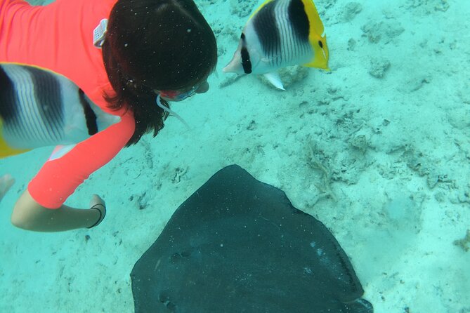 PRIVATE HALF DAY LAGOON TOUR - Bora Bora Cultural Lagoon Tour - First stop: calm water and curious stingrays