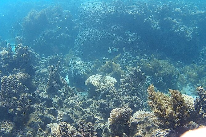 Private Half Day Sailing Excursion on the Lagoon of Tahiti - Who will enjoy this Tahiti lagoon trip most