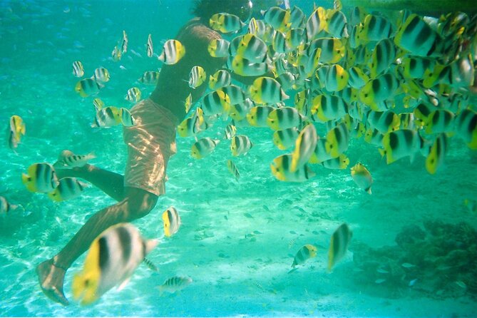 Private Half Day Sailing Excursion on the Lagoon of Tahiti - First stop: wreck sites in 10 to 12 meters of water