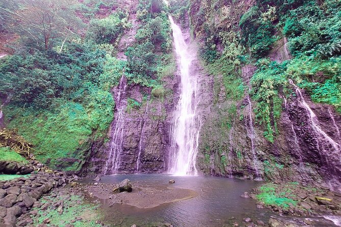 Private Half Day Tour: Papeete and Nature of Tahiti east coast - Why this half-day Tahiti tour works