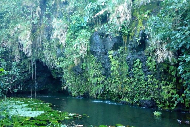 Private Island Tour ( 5 HOURS) - Taharuu Beach and black volcanic sand