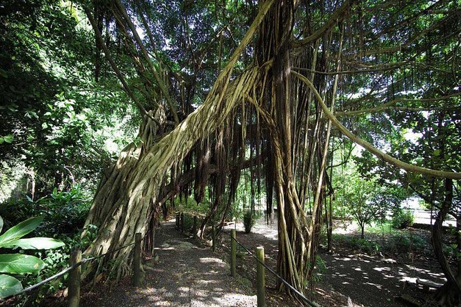 Private Island Tour ( 5 HOURS) - Point Venus and the Cook connection