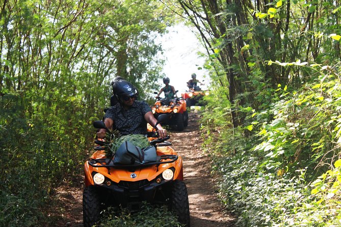 Private Island Tour by ATV / QUAD - Four viewpoints and the value of stopping often