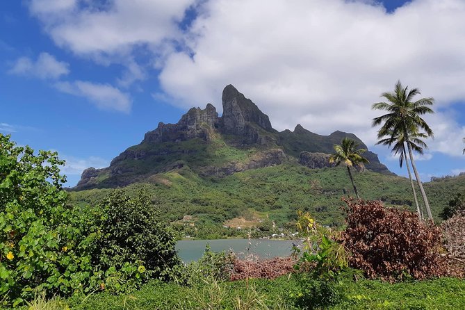 Private Island Tour by ATV / QUAD - The 9:00 a.m. start and pickup details