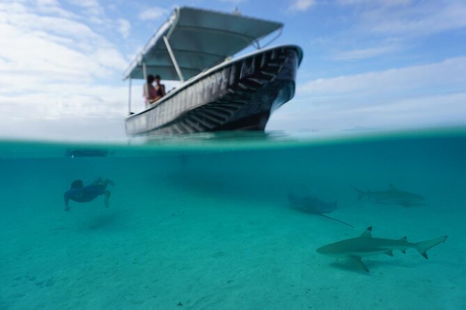 Private Lagoon Exploration and Snorkeling in Moorea - Why a Private Moorea Lagoon Trip Makes Sense