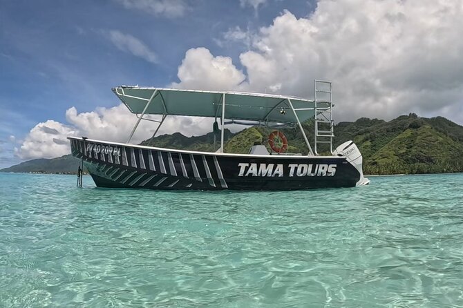 Private Lagoon Exploration and Snorkeling in Moorea - Turtle Watching Among Reef Fish