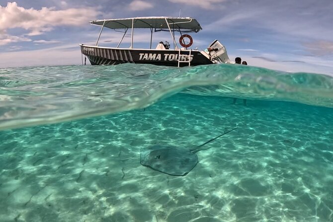 Private Lagoon Exploration and Snorkeling in Moorea - What Past Outings Reveal About the Experience