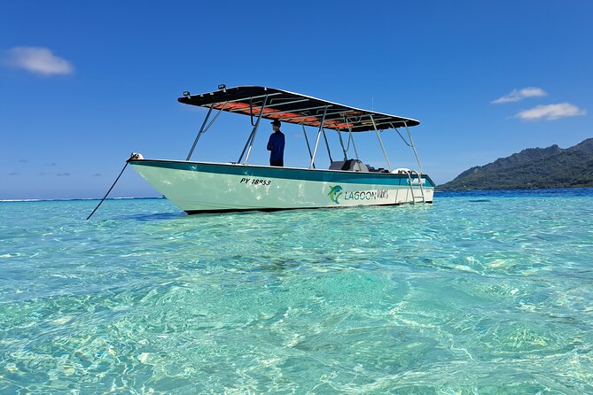 Private Marine Excursion and snorkeling in the lagoon of Moorea - Five things to know before you book