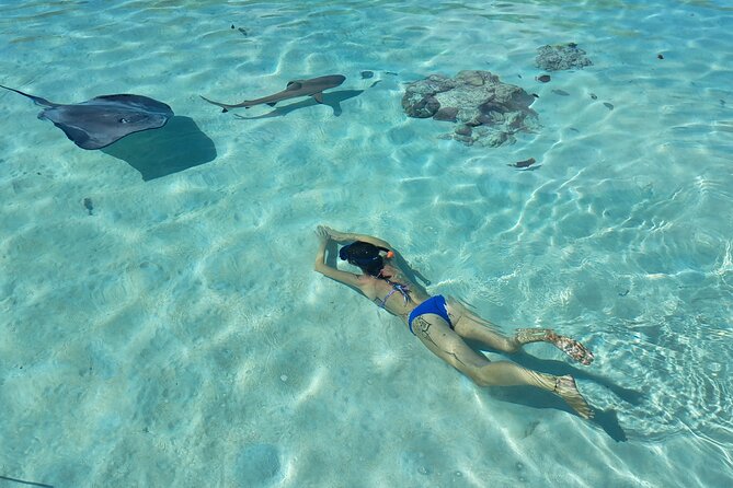 Private Marine Excursion and snorkeling in the lagoon of Moorea - Why a private Moorea boat trip changes the day