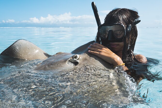 Private Marine Wildlife Adventure with Underwater Photography - What this Moorea boat trip is really about