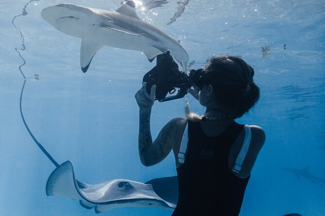 Private Marine Wildlife Adventure with Underwater Photography - What the underwater photography adds