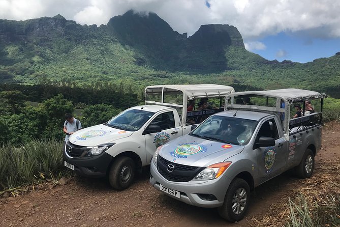 Private Morning Moorea 4WD Tour with Champagne - Cook Bay and the coastal views