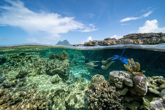Private Reef Discovery Luxury Dream Day Tour in Bora Bora - Who Will Enjoy This Experience Most