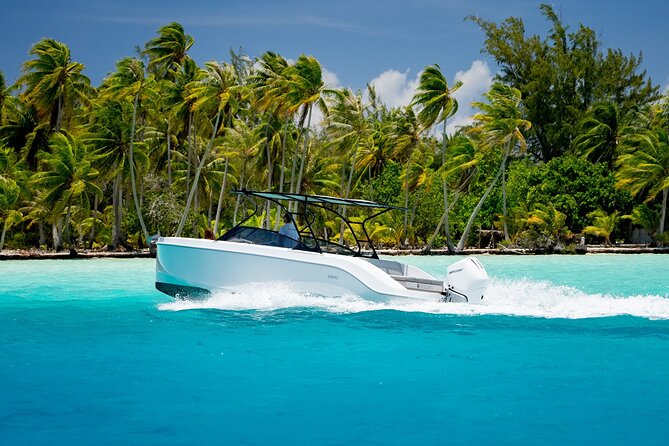 Private Reef Discovery Luxury Motu Lunch Cruise in Bora Bora - Quick points to know