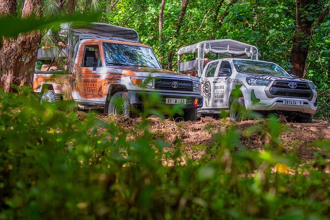 Private Safari Adventure Tour in Bora Bora with Local Guide - Drinks, fruit, and the missing lunch