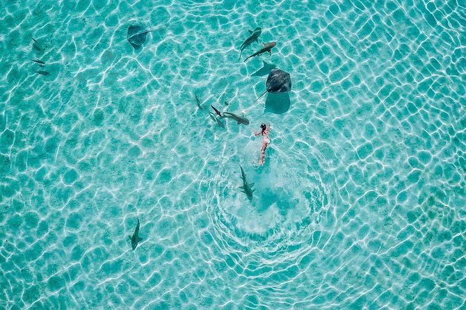 PRIVATE Sunset Tour: Moorea Snorkeling on a Catamaran named Taboo - Sunset sailing for couples and close friends