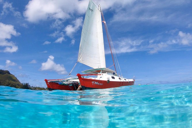 PRIVATE Sunset Tour: Moorea Snorkeling on a Catamaran named Taboo - What the guides add to the experience