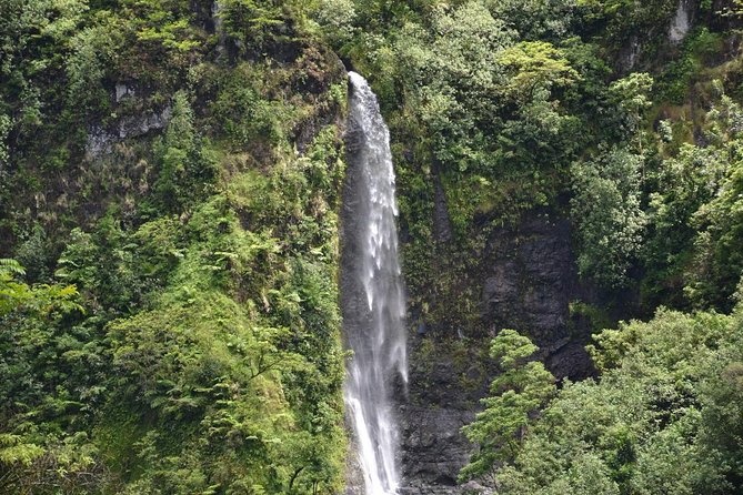 Private Tahiti Circle Island - Waterfalls, Black Sand & Views - Vaipahi Water Gardens: The Most Relaxed Stop
