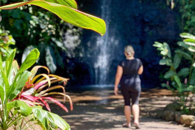 Private TAHITI Half Day Circle Island Tour (Departs 8am or 1pm) - Why a private half-day works well in Tahiti