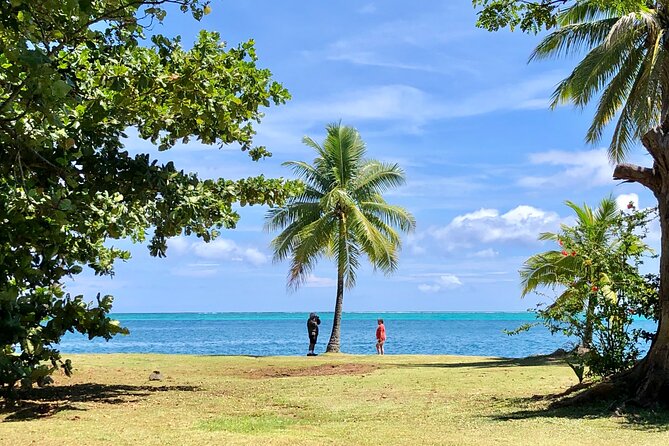 Private TAHITI Half Day Circle Island Tour (Departs 8am or 1pm) - Timing, pickup, and comfort