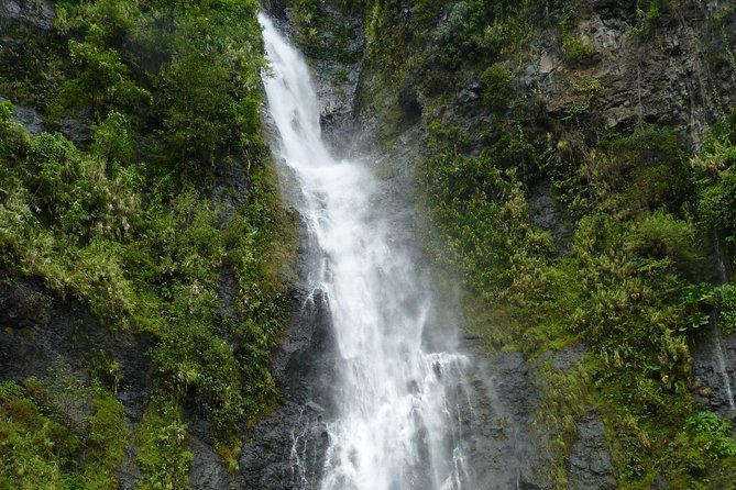 private Tahiti island discovery - Comfort, group size, and mobility
