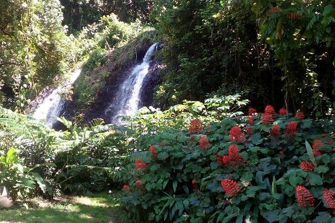 private Tahiti island discovery - Point Venus brings together beach, lighthouse, and history