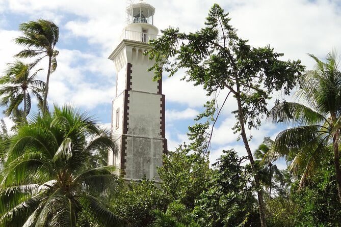 Private : Tahiti Museum & Circle Island Tour, Afternoon Tour (5h) - Vaipahi Gardens and a small waterfall