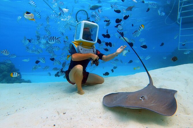 Private Tour: Aqua Safari Scuba Diving - What the Aqua Safari experience actually is
