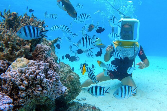 Private Tour: Aqua Safari Scuba Diving - Private service and the value for two people